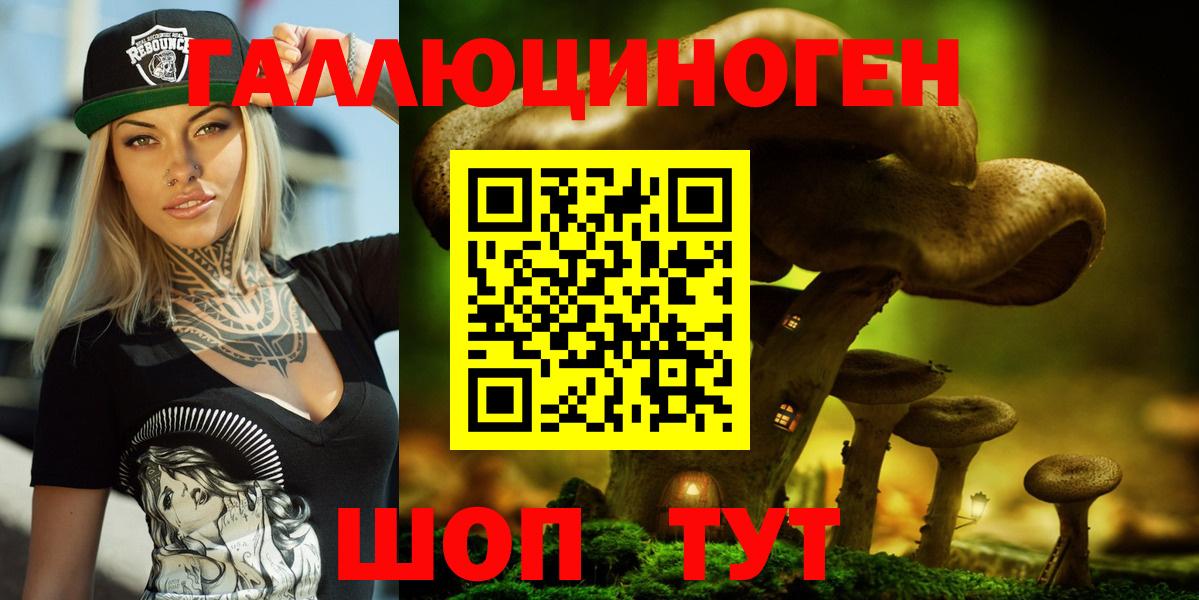 Псилоцибиновые грибы мицелий Дзержинский